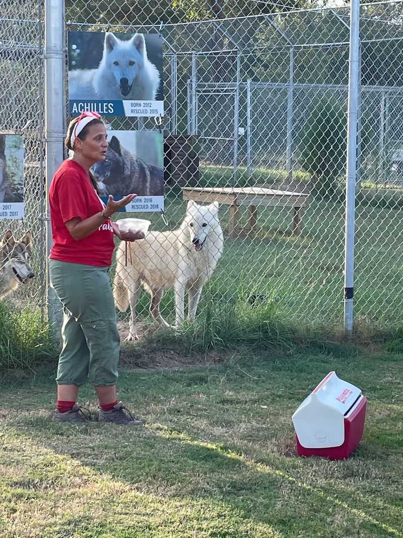 Guides Who Know Their Wolves Guides Who Know Their Wolves