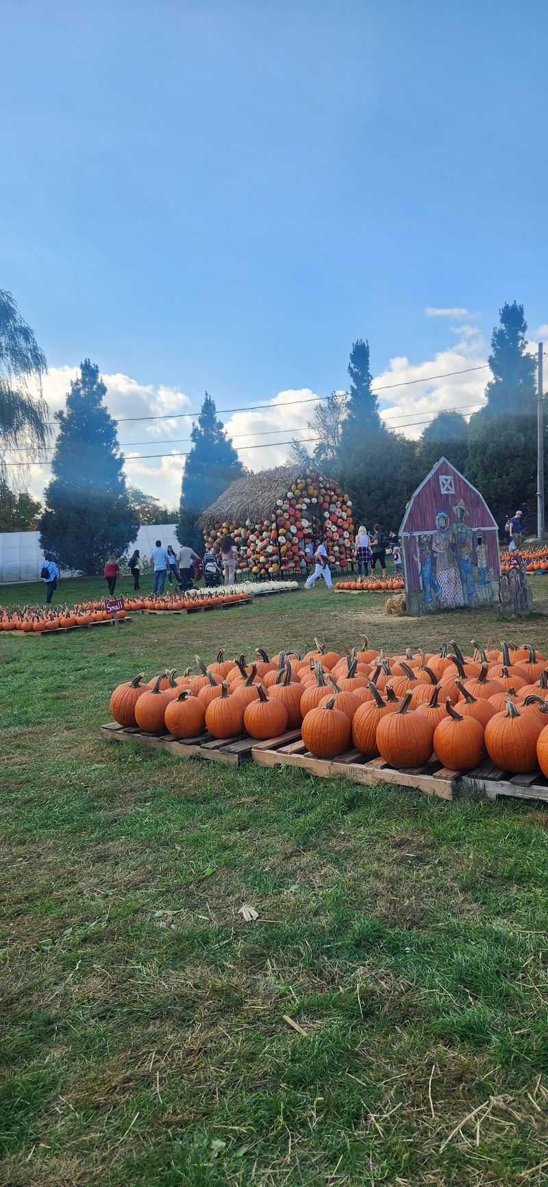 Hayrides, Goats, And A Pumpkin Patch For The Little Ones Hayrides, Goats, And A Pumpkin Patch For The Little Ones