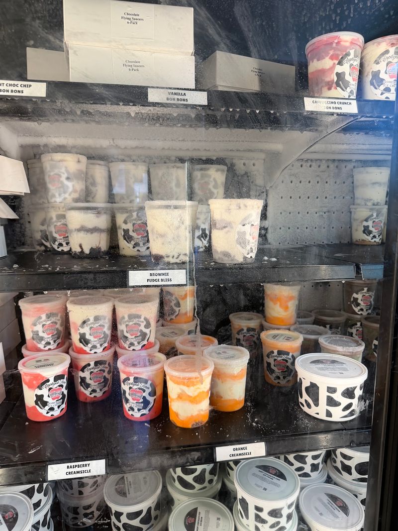 Homemade Scoops Delivered To Your Couch Homemade Scoops Delivered To Your Couch