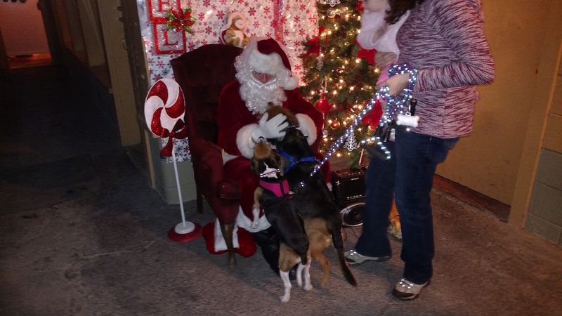 Kids, Dogs, And Costumed Characters All Welcome Kids, Dogs, And Costumed Characters All Welcome