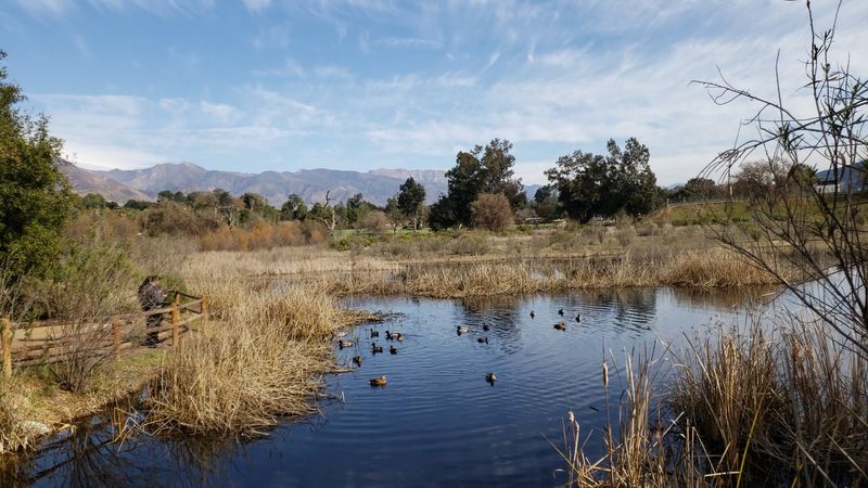 Lake Casitas Brings A Splash Of Calm Just Down The Road Lake Casitas Brings A Splash Of Calm Just Down The Road