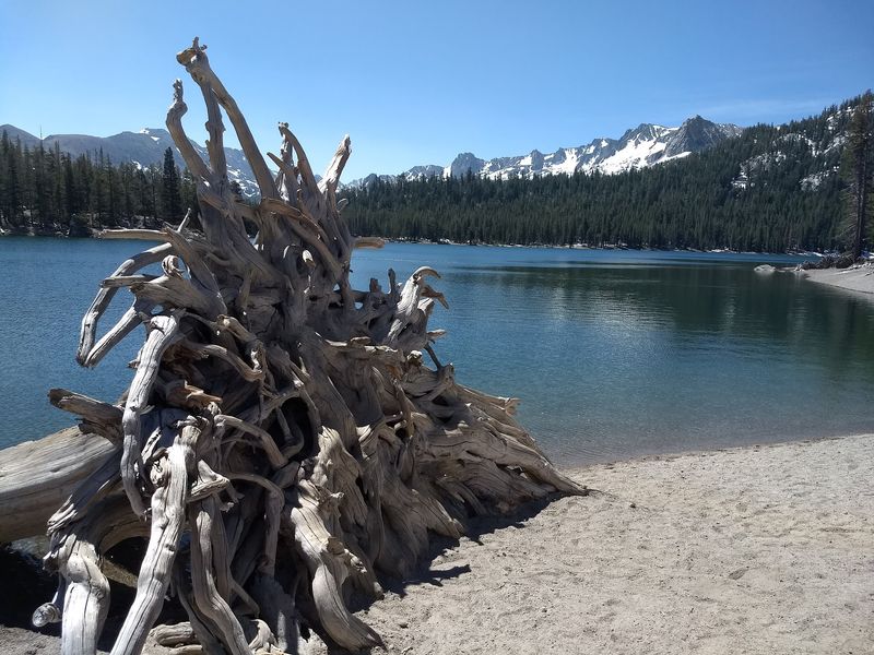 Lakes Basin Path / Horseshoe Lake Trailhead