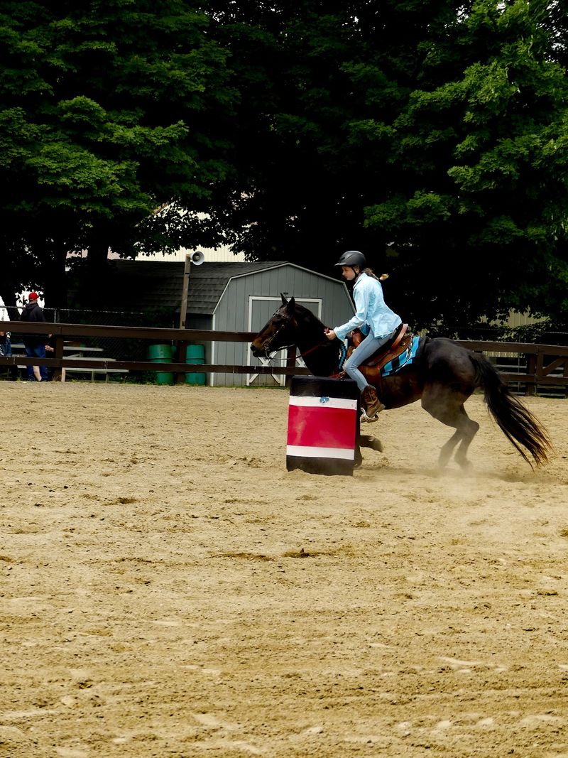 Lessons, Summer Camp, and a Tack Shop for the Hooked