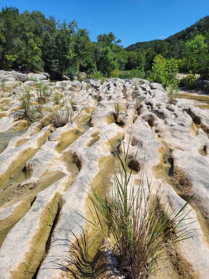 Limestone That Earned the Name Limestone That Earned the Name