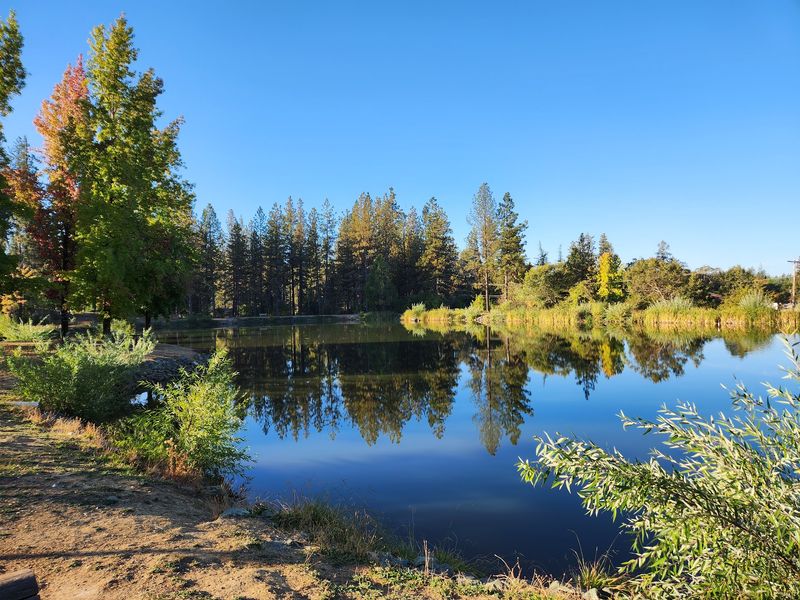 Lions Lake Offers A Quiet Loop Away From The Midway