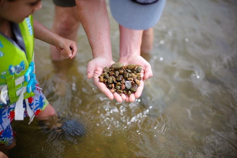 Local Know-How for Rock Hunters Local Know-How for Rock Hunters