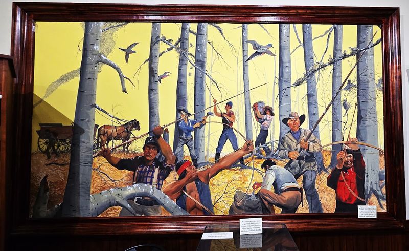 Lumber Camps And A Bird That Filled The Sky