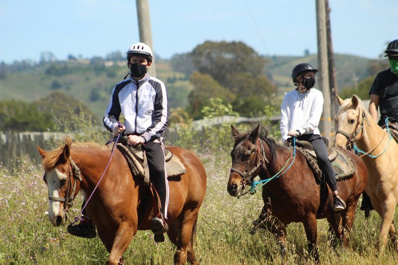 Meet The Herd With Names Like Eldorado And Pinto Meet The Herd With Names Like Eldorado And Pinto