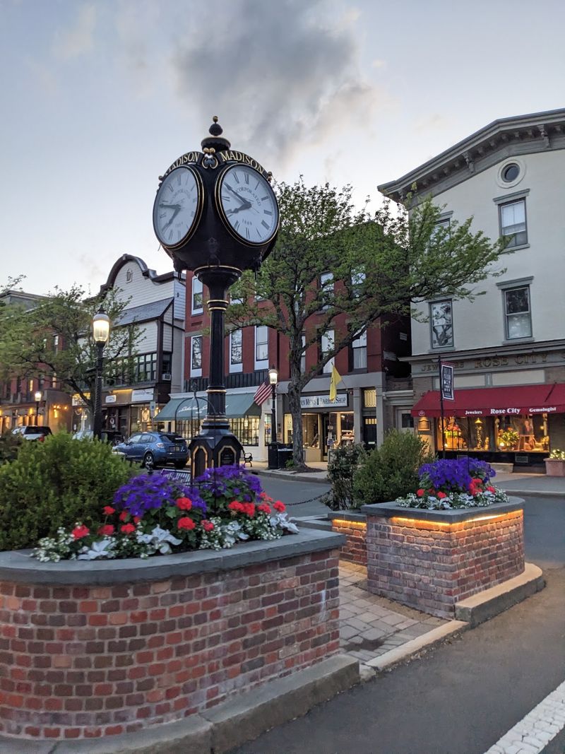 Meet The Rose City Of Morris County