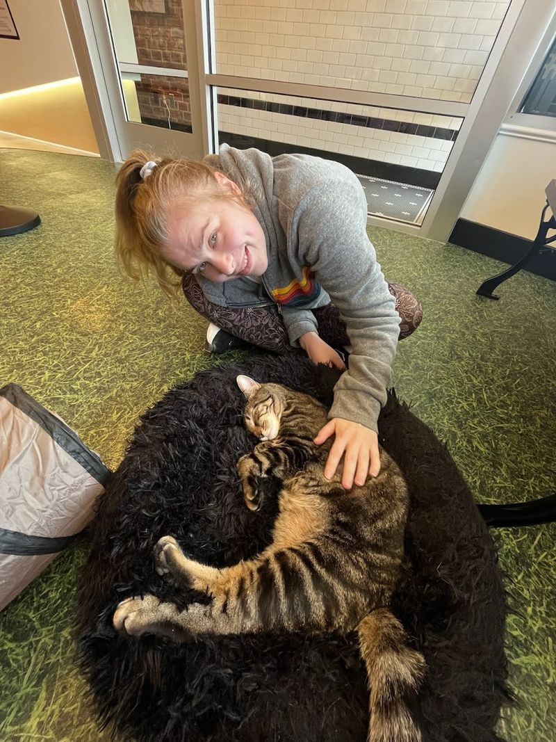 Meet the Cat Crew Running the Show