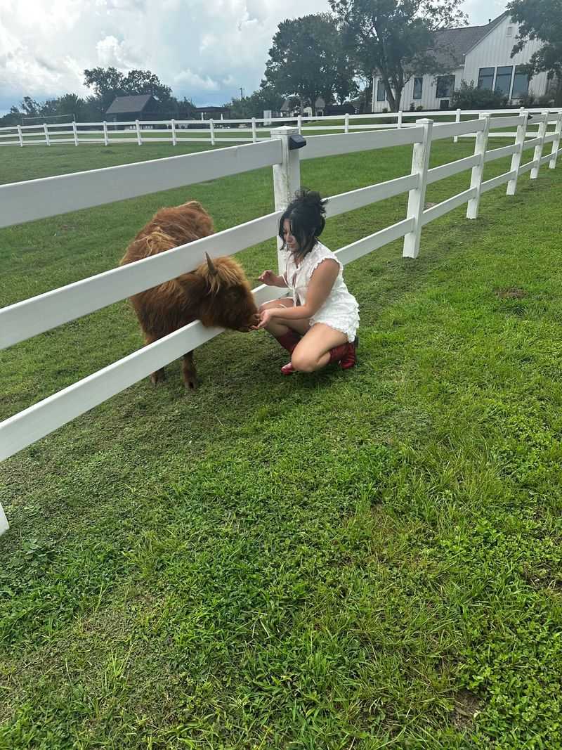 Meet the Pasture Puppies