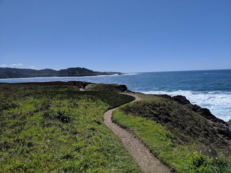 Mendocino Headlands State Park