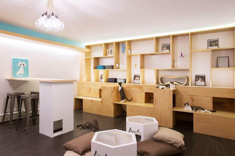 Meow Parlour Meow Parlour