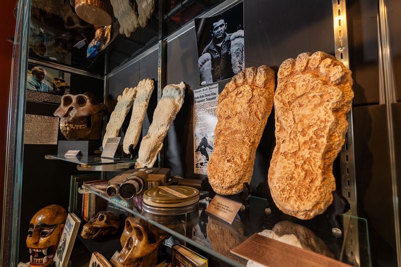Michigan's Own Monsters Finally Get Their Spotlight
