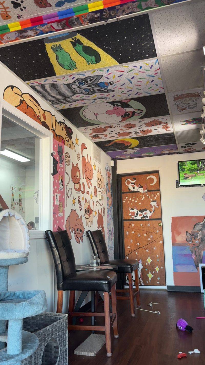 Murals And Local Art Cover Nearly Every Surface