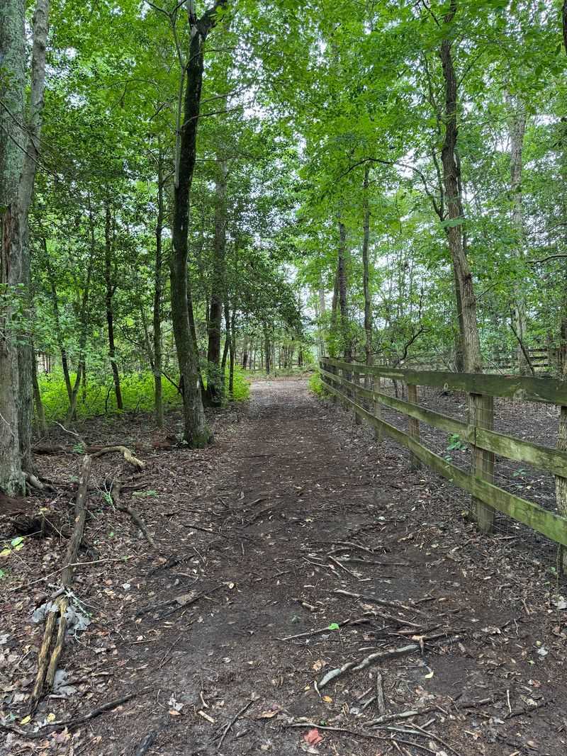 Nature Trails For A Slower Kind Of Saturday Nature Trails For A Slower Kind Of Saturday