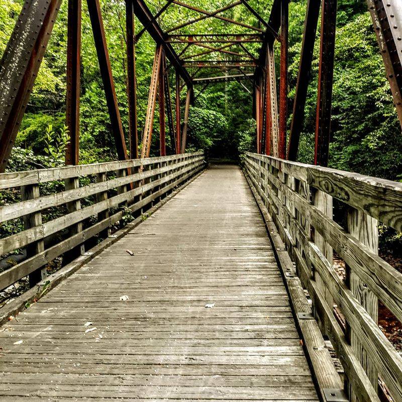 Nearly 50 Wooden Trestles Give You Treetop Views Nearly 50 Wooden Trestles Give You Treetop Views