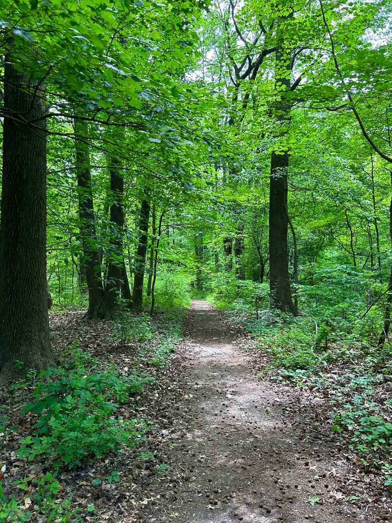 Nearly 60 Acres Of Woodland Trails Next Door Nearly 60 Acres Of Woodland Trails Next Door