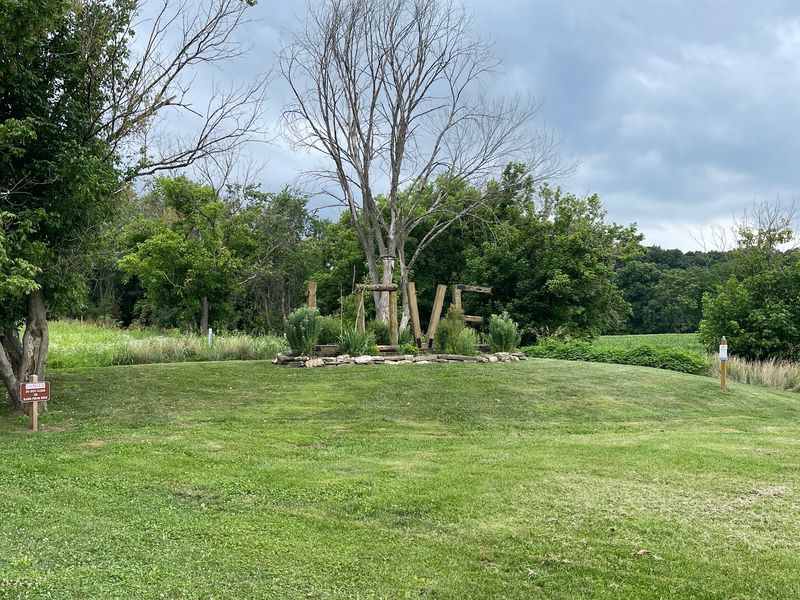 Old Camp Chimneys Hiding Along Eagle's Edge