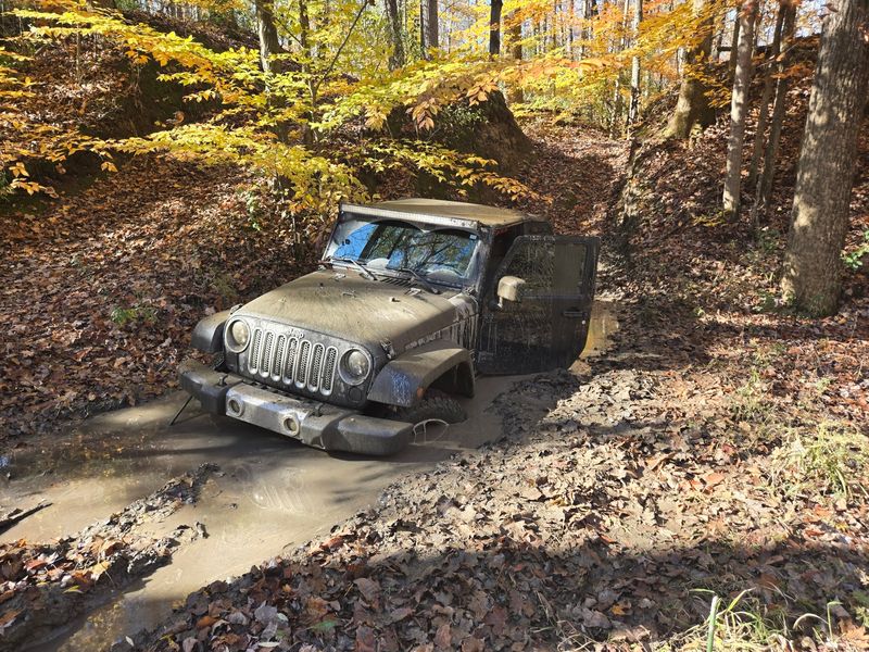 Old Swampy Ground With A Muddy Second Life