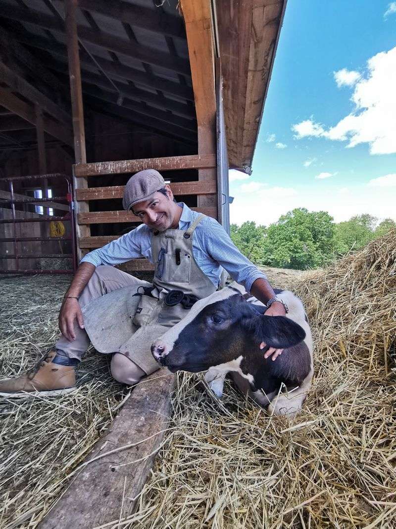 One Sick Calf Named Jimmy And A Big Leap Of Faith
