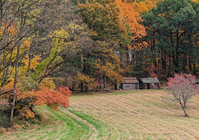Pedals, Hooves, And A Slow Scenic Drive