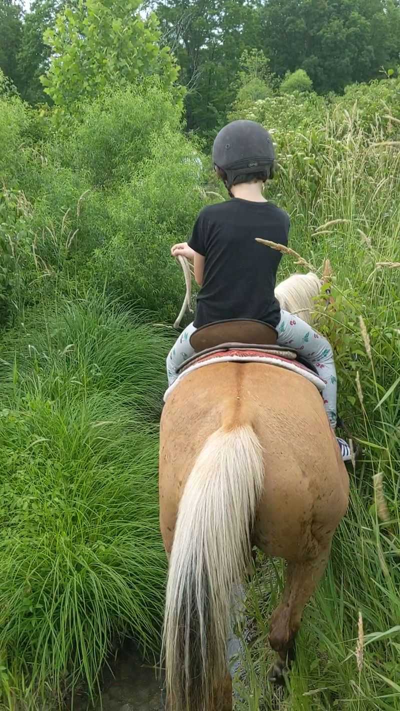 Permits, Texts, And Hours You'll Need Before You Saddle Up Permits, Texts, And Hours You'll Need Before You Saddle Up