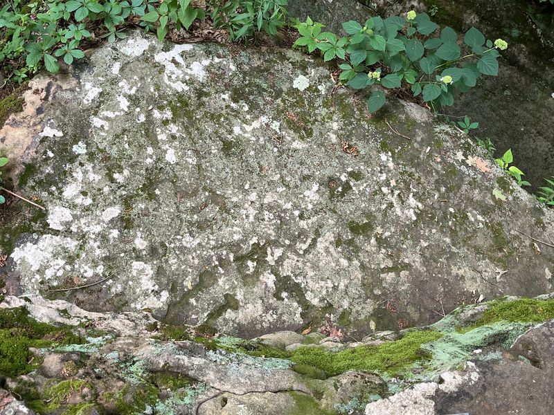 Petroglyphs That Play Hide and Seek Petroglyphs That Play Hide and Seek