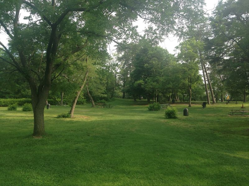 Picnics, Playgrounds, and an Amphitheater Too