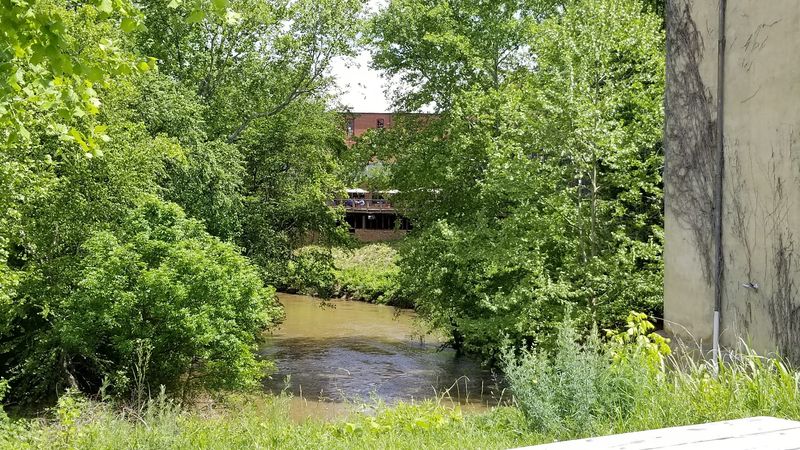 Pizza, Coffee, and River Views Waiting in Farmville