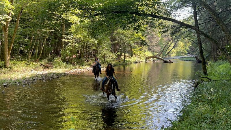 Private Rides Keep The Whole Trail Just For Your Crew Private Rides Keep The Whole Trail Just For Your Crew