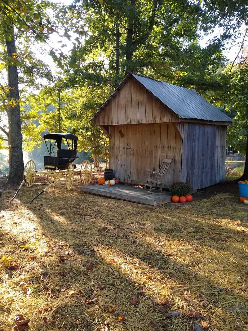 Pumpkins, Fall Fun, and Horse Portraits