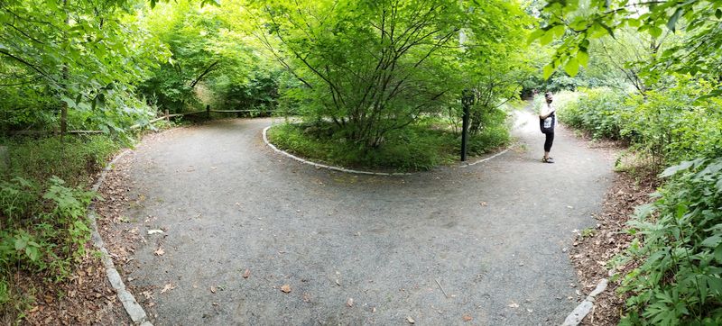 Quiet Enough For Tai Chi, Easy Enough For Families Quiet Enough For Tai Chi, Easy Enough For Families