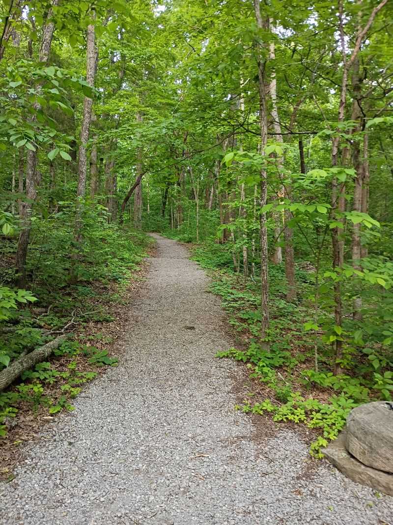 Quiet Trails and Empty Weekends Quiet Trails and Empty Weekends