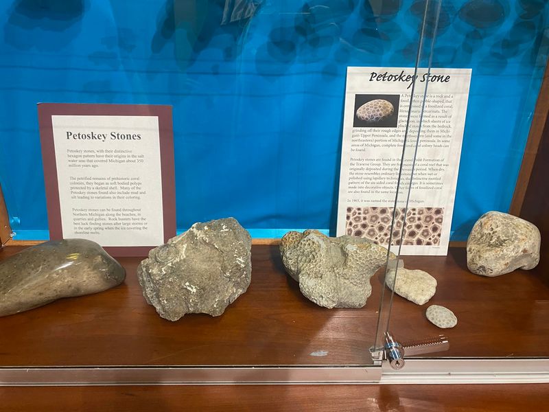 Raw Petoskey Stones And Old Winter Films