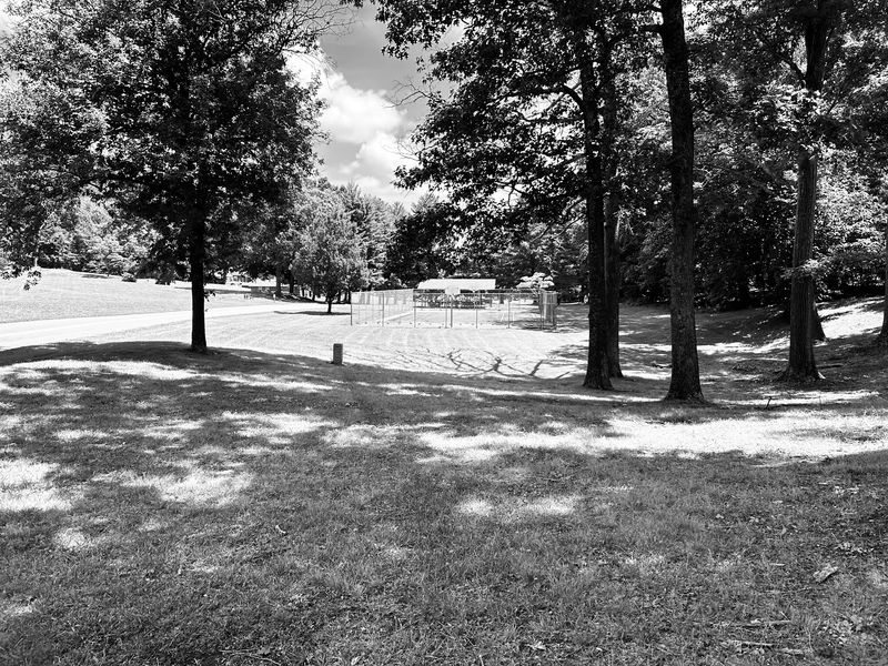 Ridges, Pastures, and a Seriously Pretty Drive