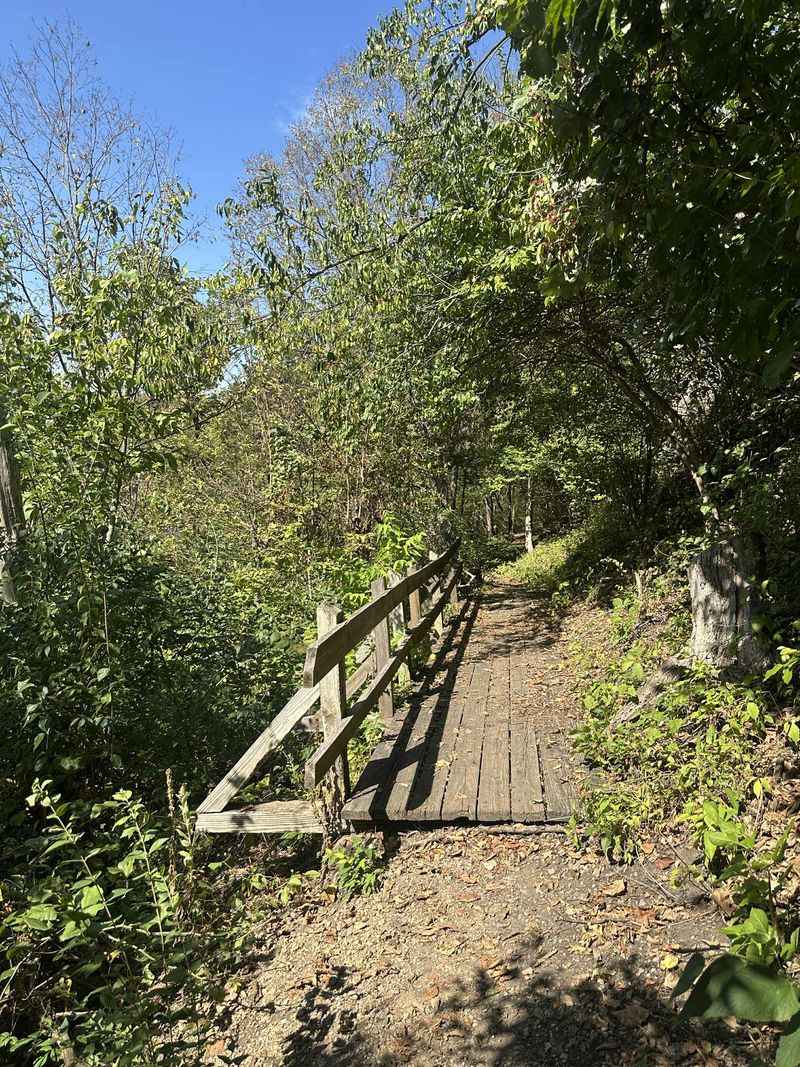 Riverside Trails and a Hidden Green Pocket