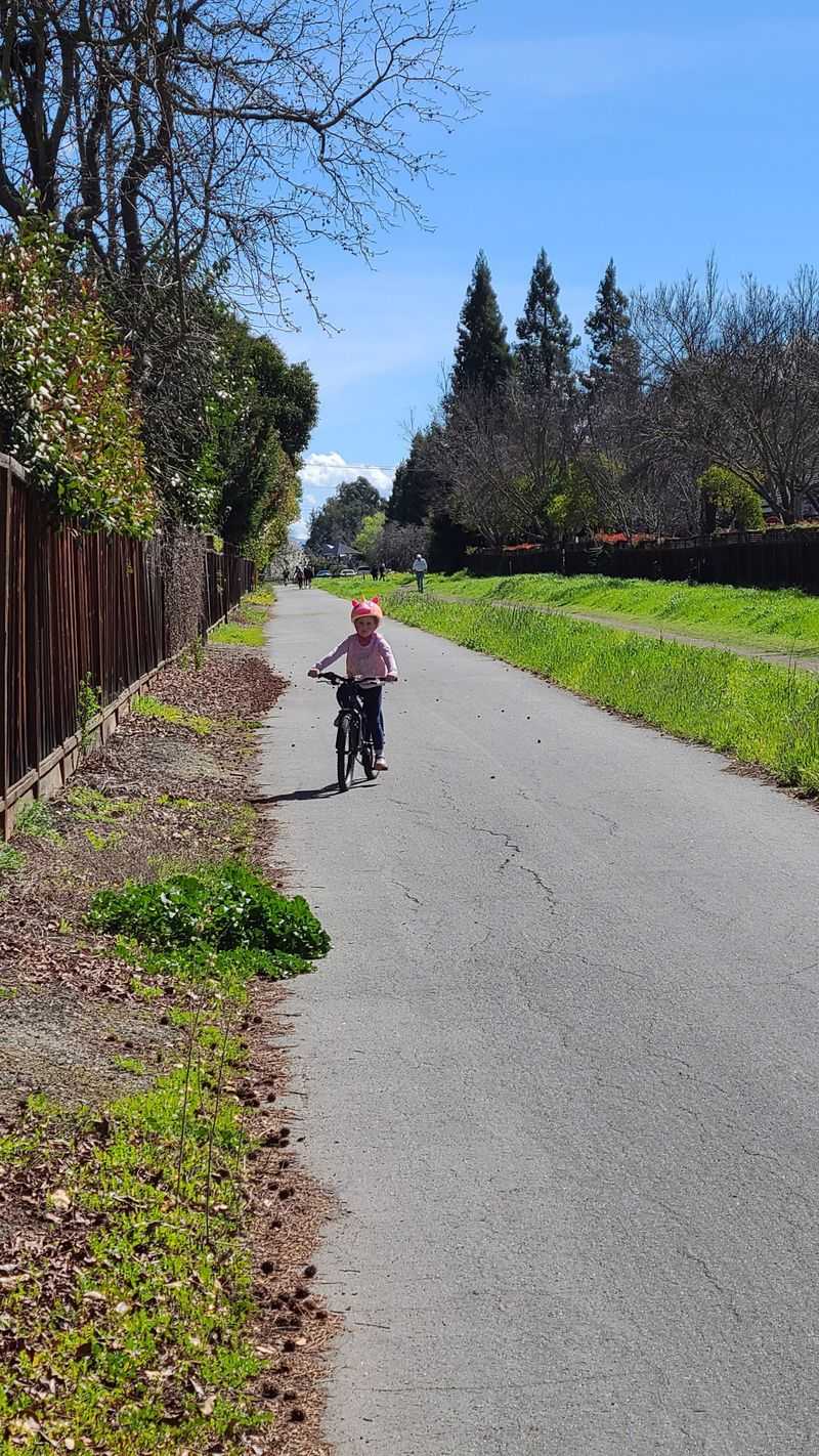 Room For Kids On Scooters, Riders On Horseback, And Everyone Between
