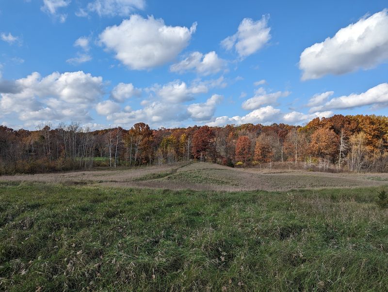 Rustic Cabins And A Clay Range For The Bold