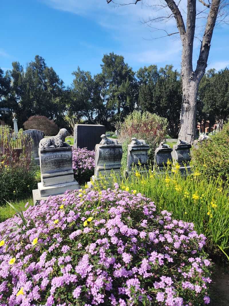 Sacramento Historic City Cemetery Sacramento Historic City Cemetery