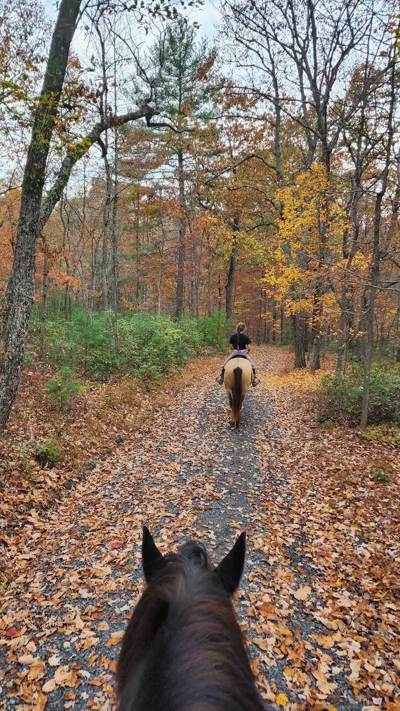 Secret Passage Ranch