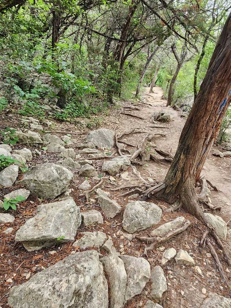Shade, Boulders and a Rocky Middle Stretch Shade, Boulders and a Rocky Middle Stretch