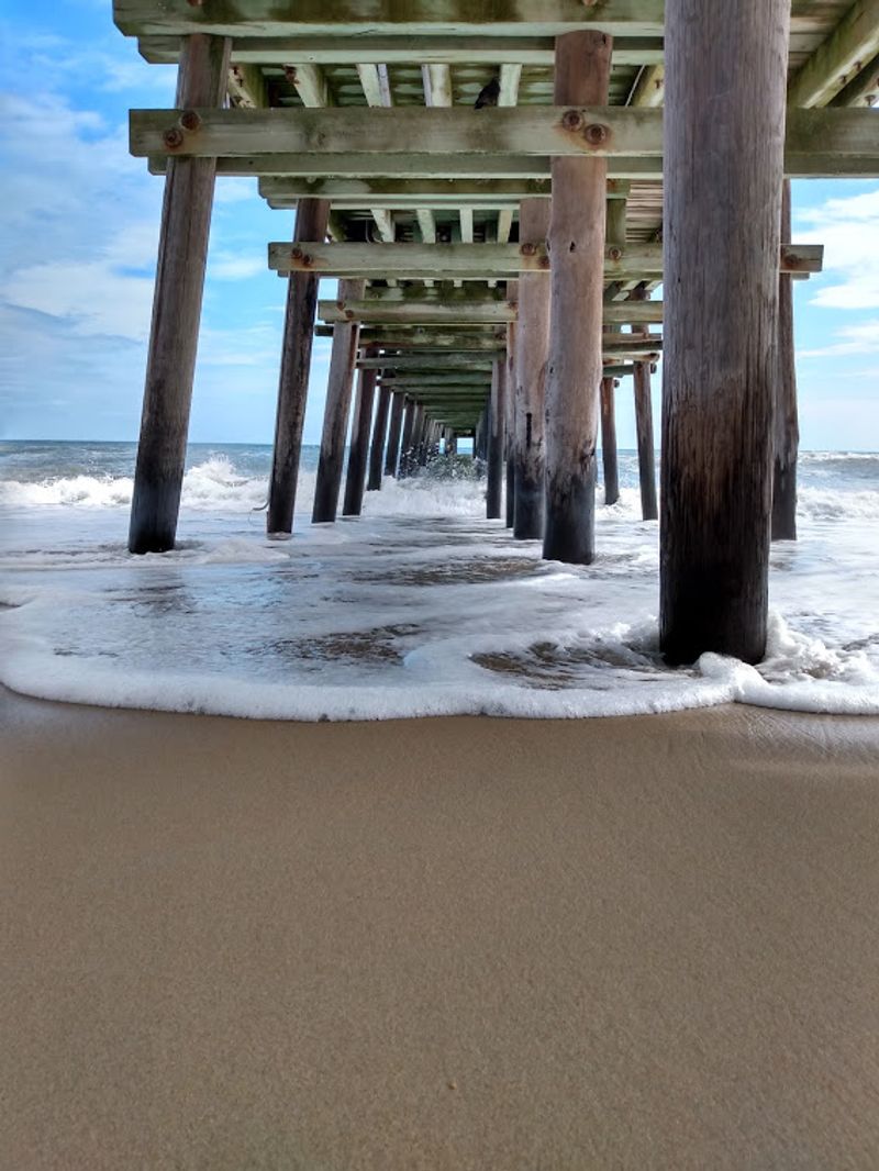 Shade Under the Pier Is a Smart Move Shade Under the Pier Is a Smart Move