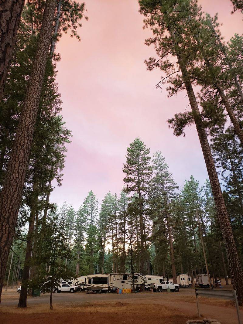 Shaded Campsites Make A Weekend Out Of It