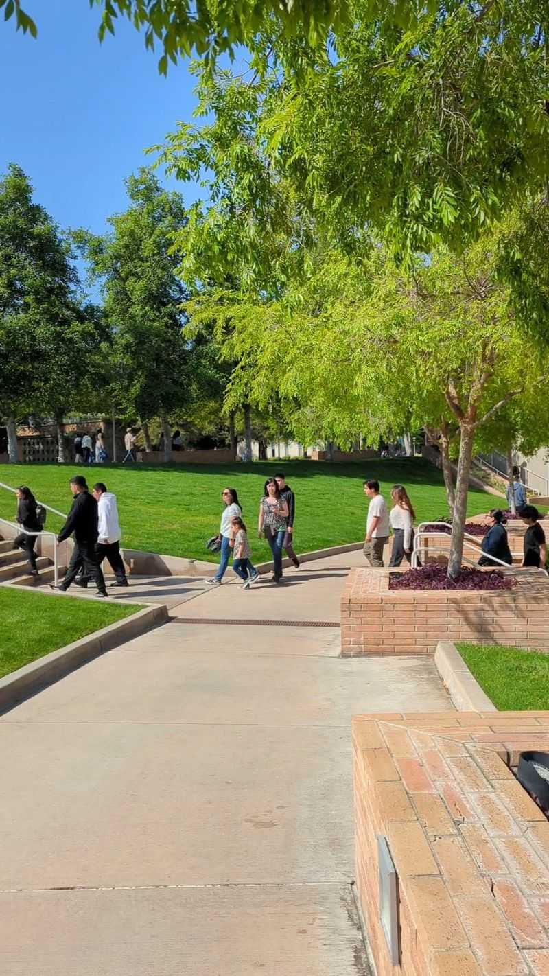 Shady Paths, Eucalyptus, and Solar-Powered Benches Shady Paths, Eucalyptus, and Solar-Powered Benches