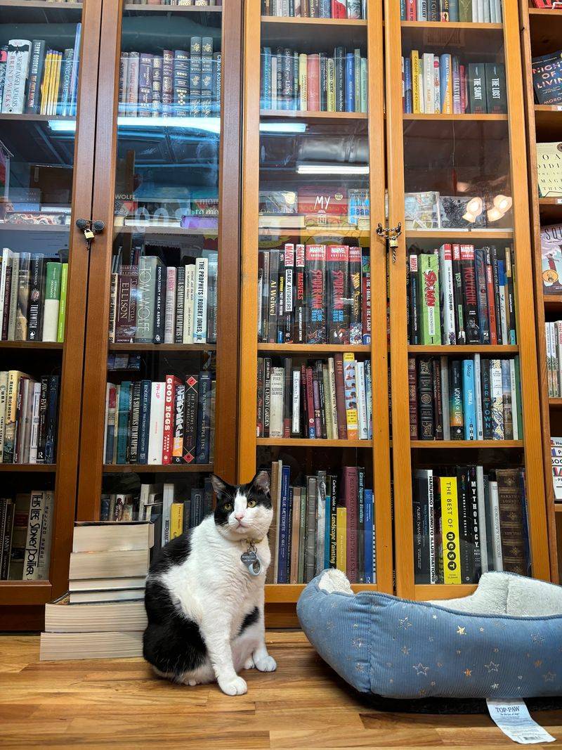Shelf Life Books Shelf Life Books
