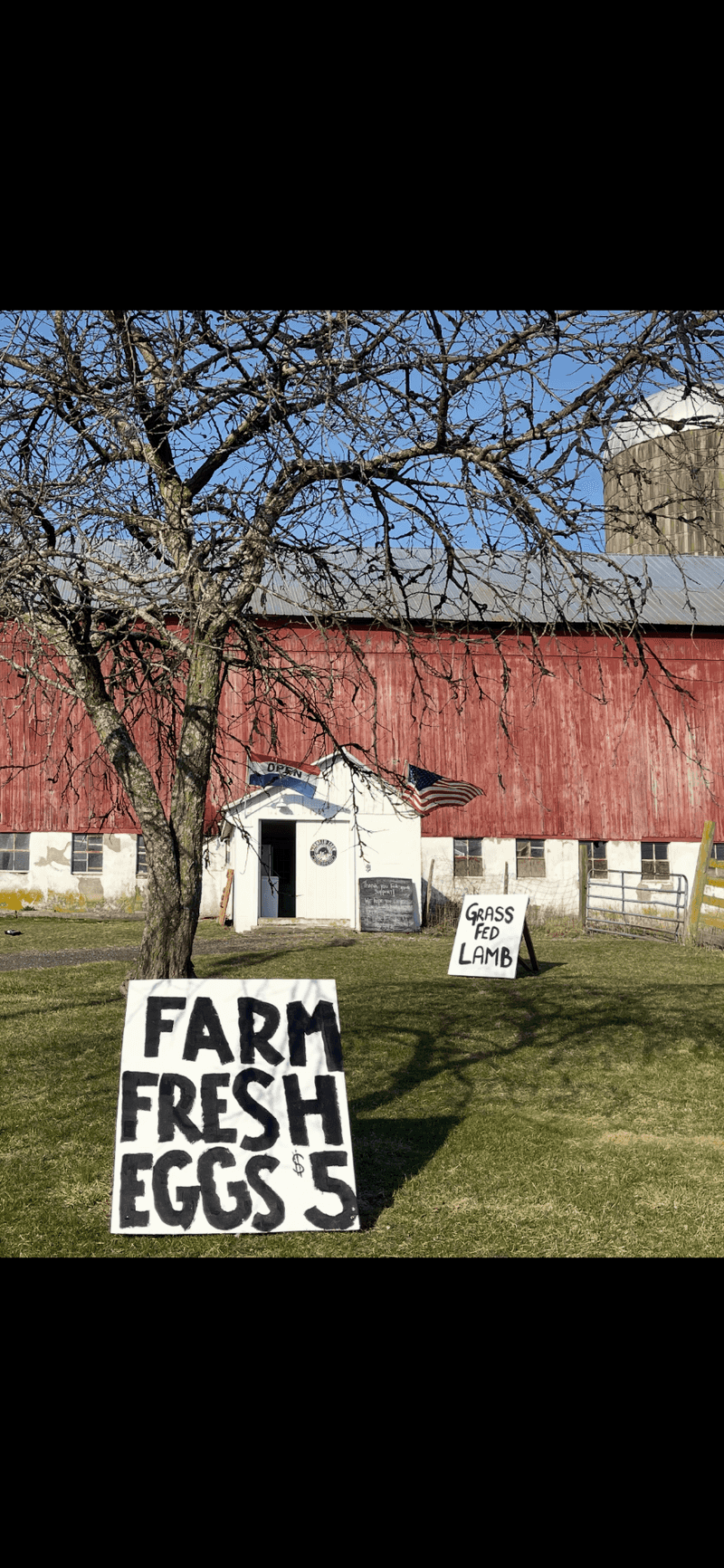 Short Hours, Easy Directions, Fair Prices
