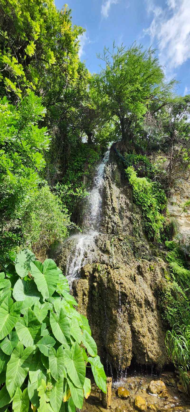 Sixty Feet of Falling Water Sixty Feet of Falling Water