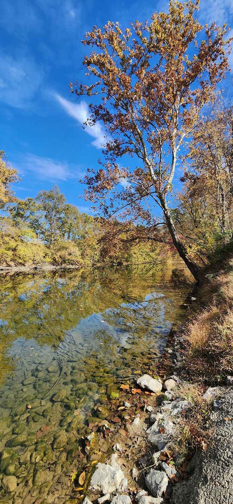 Smallmouth Bass and Wade Fishing in the Shallows