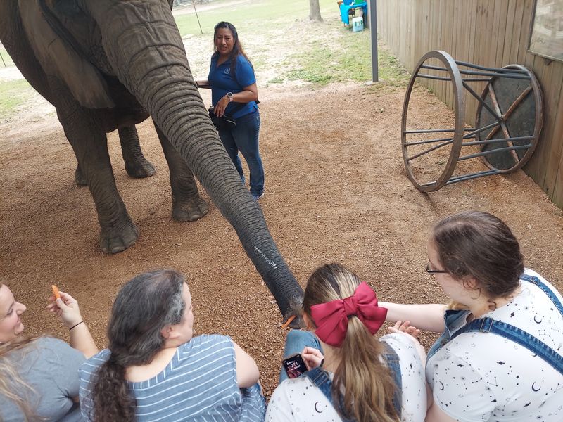 Snack Time With a 10,000-Pound Guest